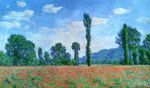 Poppy Field in Giverny